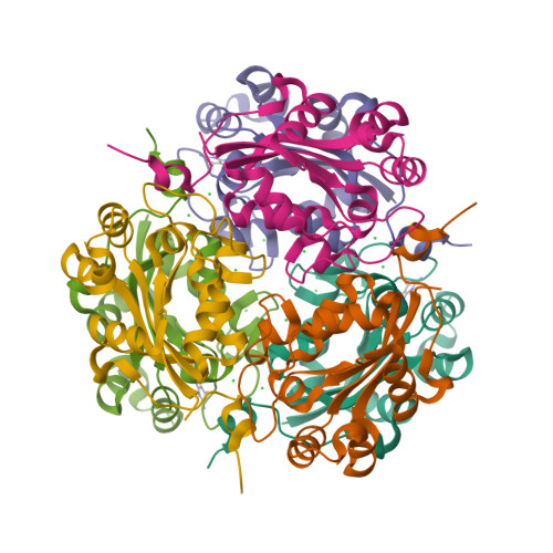 Rcsb Pdb 2dxe Crystal Structure Of Nucleoside Diphosphate Kinase In Complex With Gdp