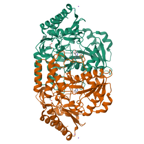 RCSB PDB 2E54 Crystal structure of acetylornithine aminotransferase