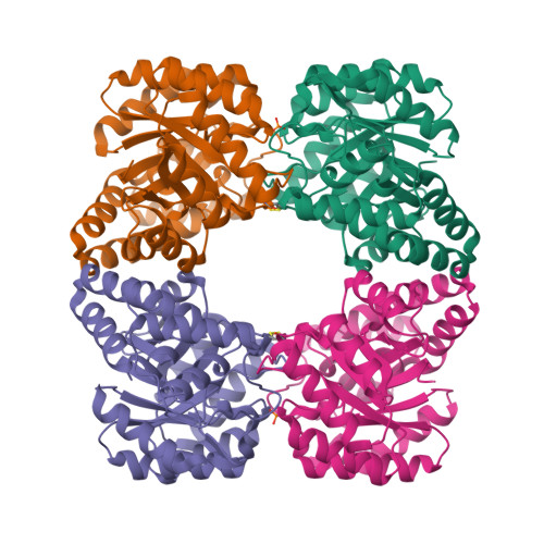 dihexa acetate wholisticresearch RCSB PDB