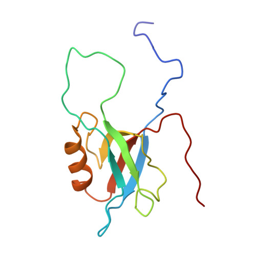 RCSB PDB - 2EHR: Solution structure of the sixth PDZ domain of human ...