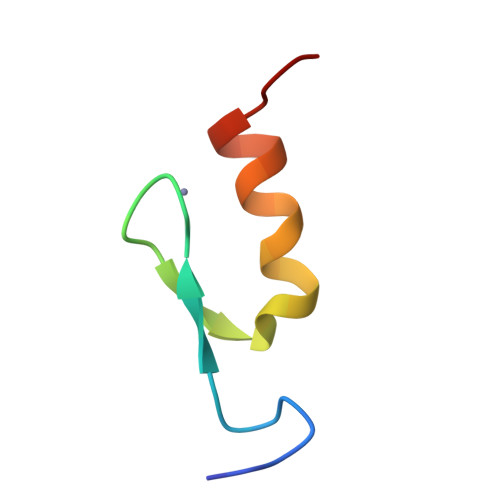 RCSB PDB 2ELM Solution structure of the 10th C2H2 zinc finger of human Zinc finger protein 406