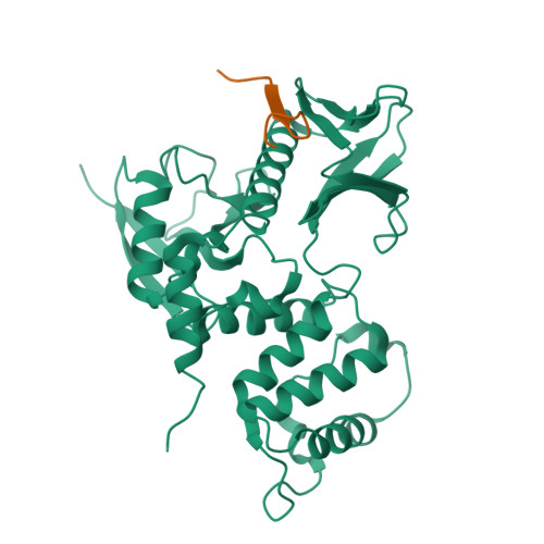 RCSB PDB - 2EMS: Crystal Structure Analysis of the radixin FERM domain ...