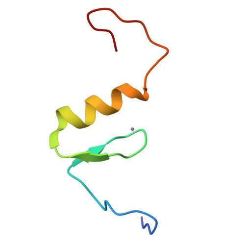 RCSB PDB 2ENC Solution structure of the C2H2 type zinc finger (region 395427) of human Zinc