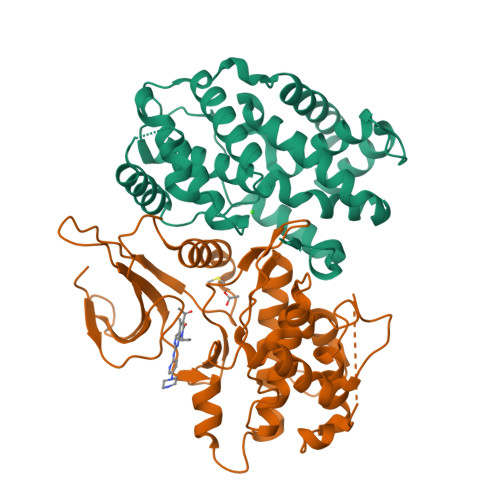 RCSB PDB - 2EUF: X-ray structure of human CDK6-Vcyclin in complex 