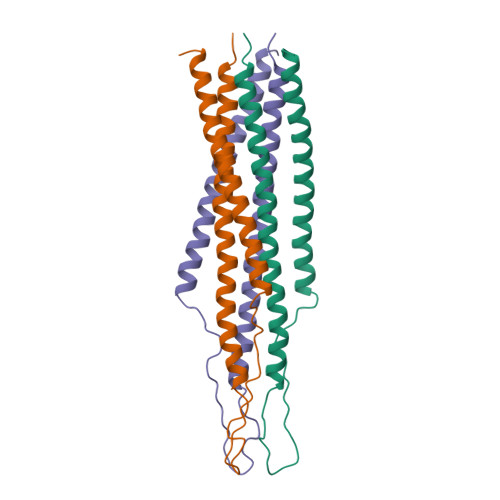 Selectednon-planar NG structures p-isoelectronic to HBC obtained in