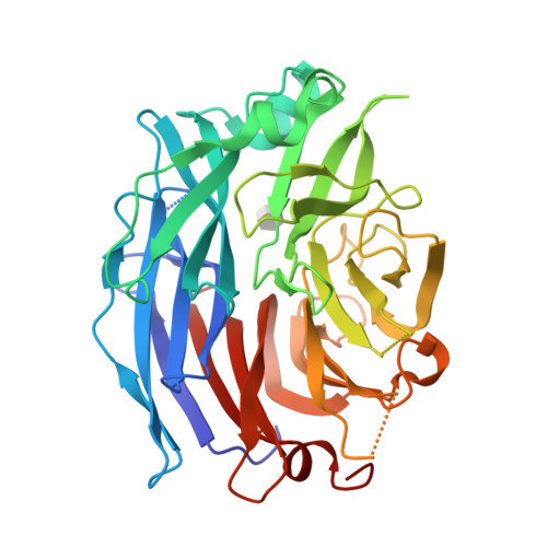 RCSB PDB - 2F0Z: Crystal Structure of the Human Sialidase