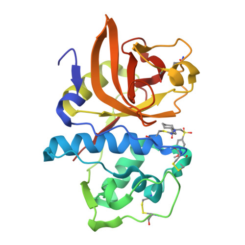 Cathepsin K structure