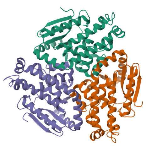 PDB 2FBM