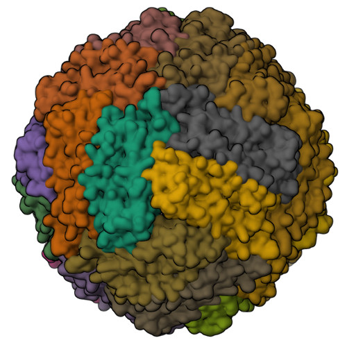 RCSB PDB - 2FG8: Structure Of Human Ferritin L Chain