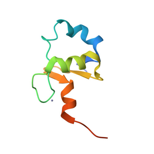 Protein E6 structure