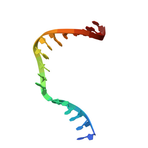 Rcsb Pdb 2fmp Dna Polymerase Beta With A Terminated Gapped Dna