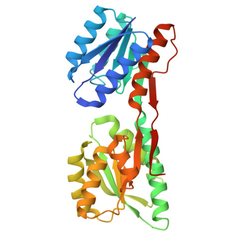 RCSB PDB - 2FN9: Thermotoga maritima Ribose Binding Protein Unliganded Form