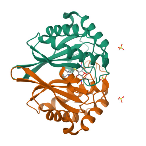 Rcsb Pdb 2fqt Crystal Structure Of Bsubtilis Luxs In Complex With 2s 2 Amino 4 2r3s 2 5140