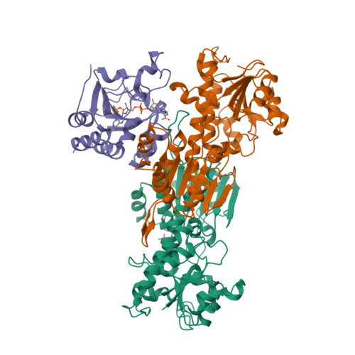 RCSB PDB - 2FR8: Structure of transhydrogenase (dI.R127A.NAD+)2(dIII ...