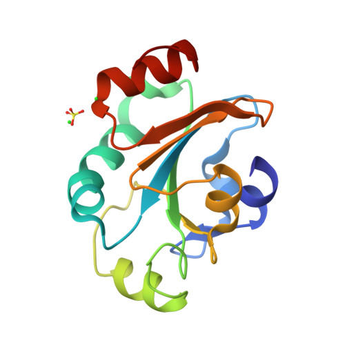 neisseria meningitidis structure