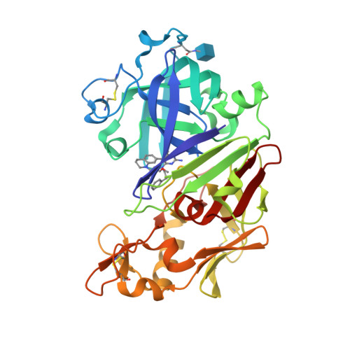 RCSB PDB - 2G22: Ketopiperazine-Based Renin Inhibitors 