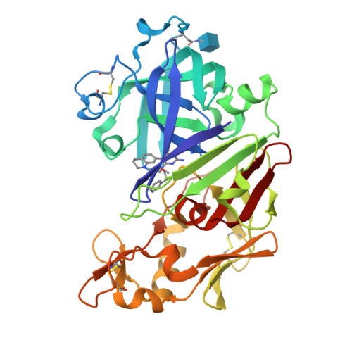 RCSB PDB - 2G22: Ketopiperazine-Based Renin Inhibitors 