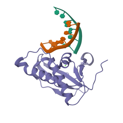 RCSB PDB - 2G8W: B. halodurans RNase H catalytic domain E188A 
