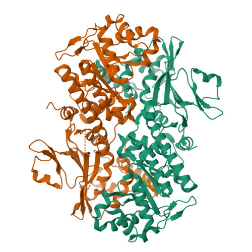 Nicotinamide phosphoribosyltransferase structure