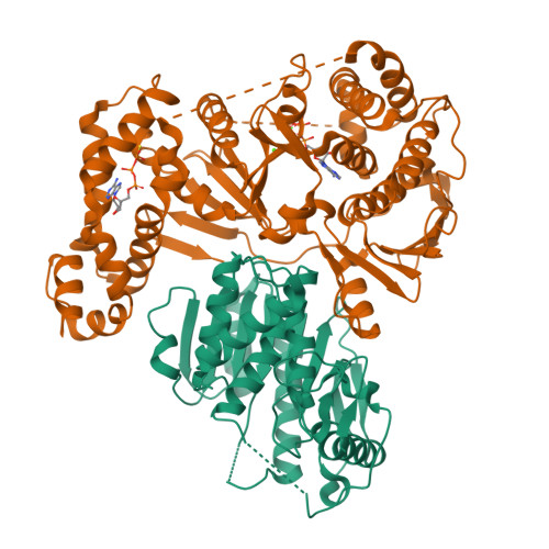 RCSB PDB - 2GA9: Crystal Structure of the Heterodimeric Vaccinia Virus ...