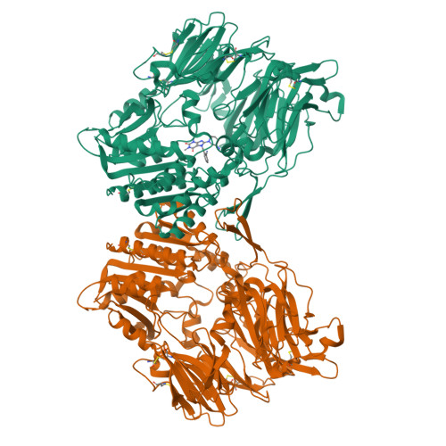 RCSB PDB - 2GBI: rat DPP-IV with xanthine inhibitor 4