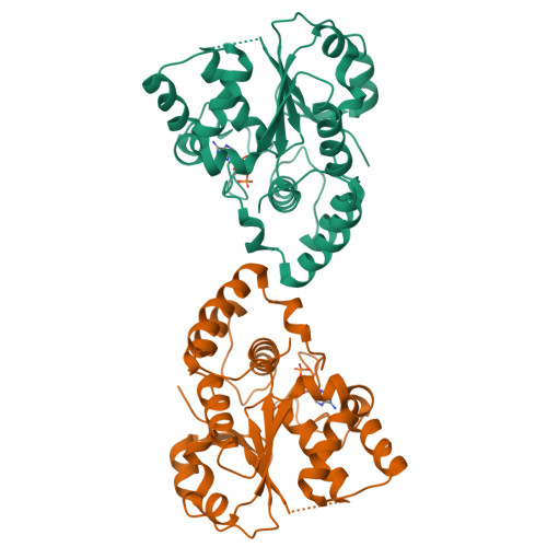 Sulfotransferase 1C3 structure