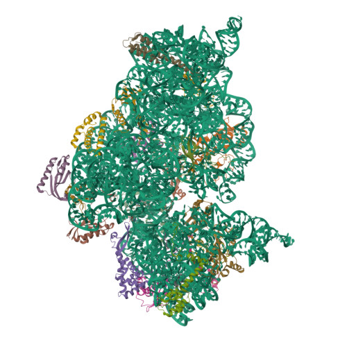 RCSB PDB - 2HHH: Crystal structure of kasugamycin bound to the 30S ...