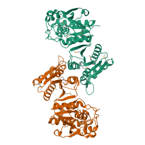 RCSB PDB - 2HI1: The structure of a putative 4-hydroxythreonine-4 ...