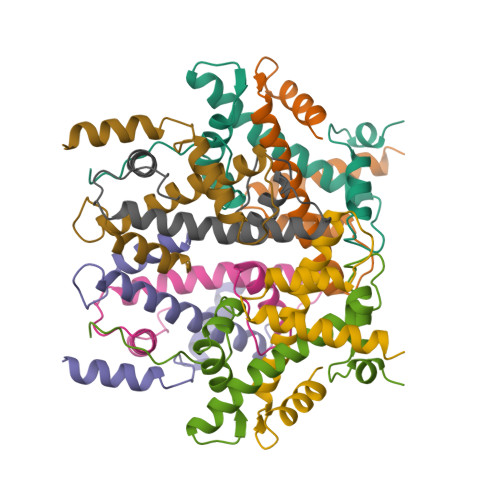 histone protein structure
