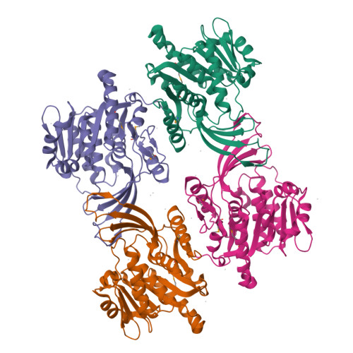 PDB 2HLZ