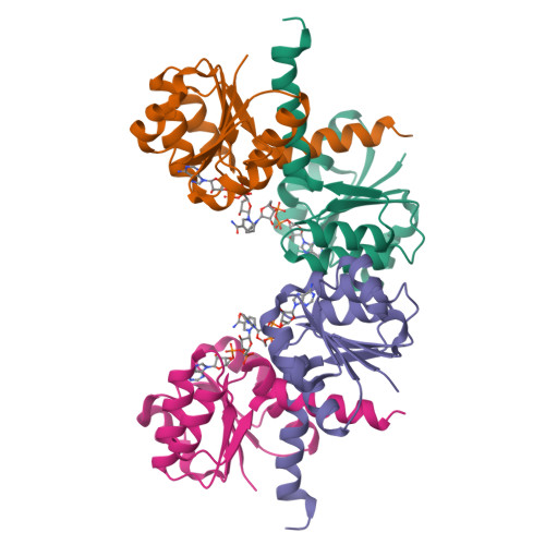 RCSB PDB - MCM Ligand Summary Page