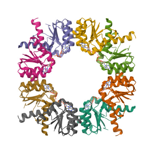 RCSB PDB - 2HMW: Square-shaped octameric ring structure of an RCK ...