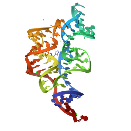 RCSB PDB - 2HOL: Crystal structure of an E. coli thi-box riboswitch ...