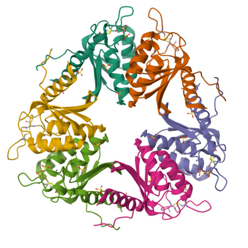 RCSB PDB HVV Crystal Structure Of DCMP Deaminase From Streptococcus Mutans