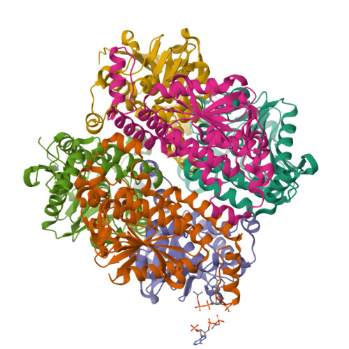 RCSB PDB - 2HW5: The Crystal Structure Of Human Enoyl-coenzyme A (CoA ...