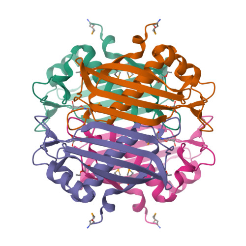 RCSB PDB - 2HX5: Crystal structure of a putative thioesterase (pmt_2055 ...