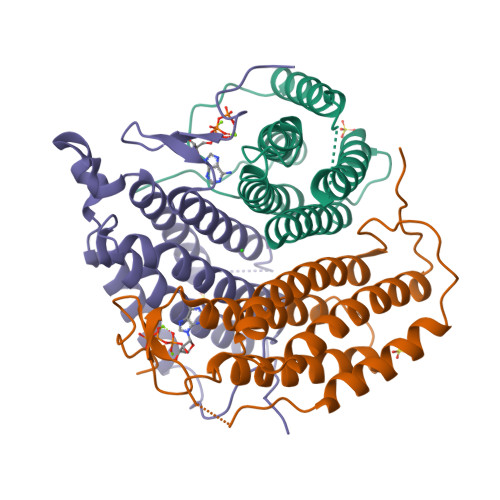 Corrinoid adenosyltransferase MMAB structure