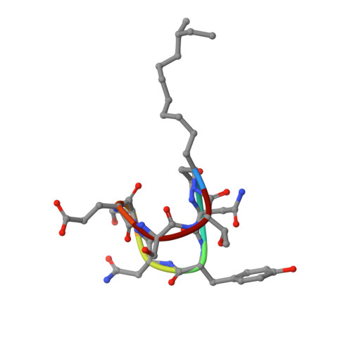 Rcsb Pdb 2igz Nmr Structure Of The Sterol Dependent Antifungal Antibiotic Bacillomycin Lc 2226