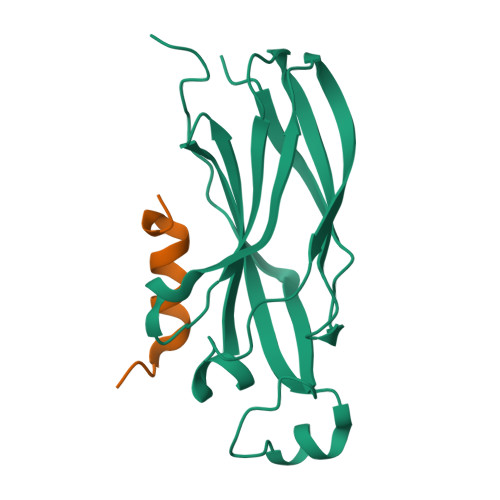 PDB 2IIJ