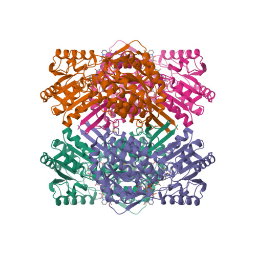 Proteins: Startling vidence of design 2imp_assembly-1