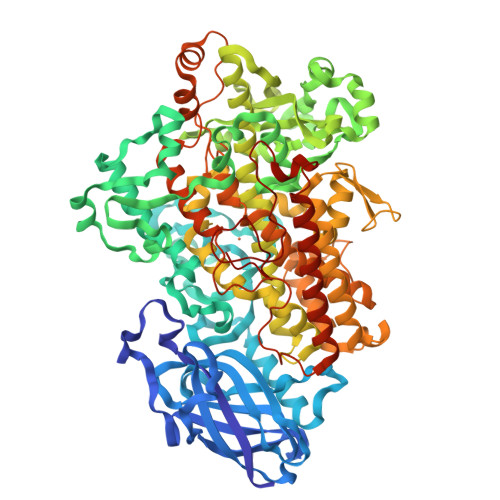 RCSB PDB - 2IUJ: Crystal Structure Of Soybean Lipoxygenase-B