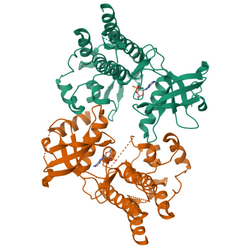PDB 2IVS