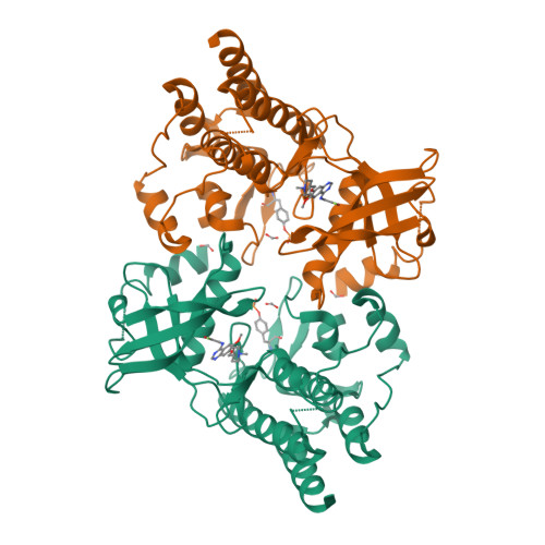 RCSB PDB - 2IVU: Crystal structure of phosphorylated RET tyrosine 