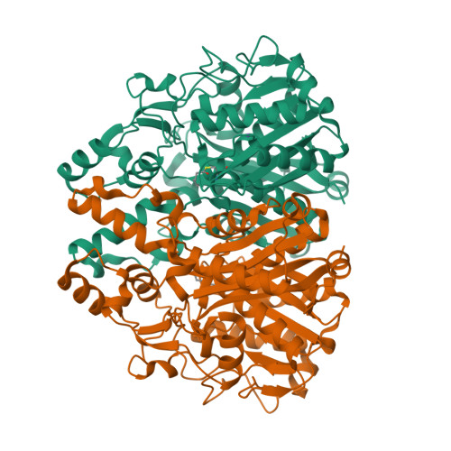 RCSB PDB - 2IX4: Arabidopsis thaliana mitochondrial beta-ketoacyl