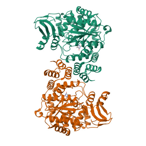 Rcsb Pdb J F Structural Basis For Non Competitive Product Inhibition In Human Thymidine