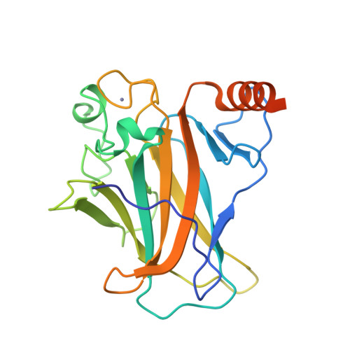 RCSB PDB - 2J1W: Human p53 core domain mutant M133L-V143A-V203A