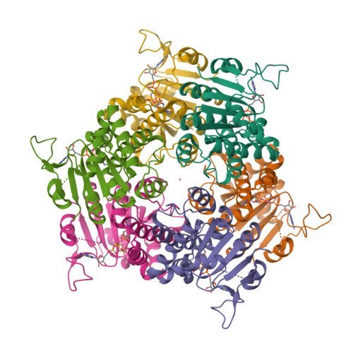 RCSB PDB - 2J4J: Crystal structure of uridylate kinase from