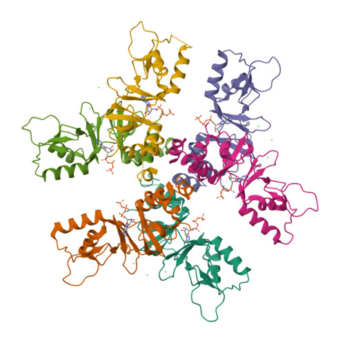 RCSB PDB - 2J9L: Cytoplasmic Domain of the Human Chloride Transporter ...