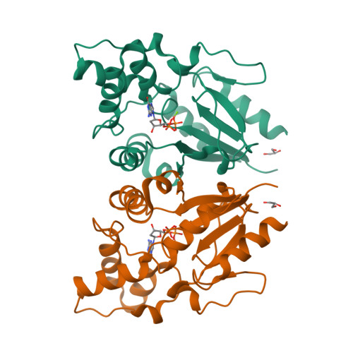RCSB PDB - 2JAO: Crystal structure of D12N variant of mouse cytosolic 5 ...