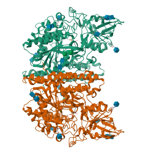 Rcsb Pdb Jbj Membrane Bound Glutamate Carboxypeptidase Ii Gcpii In Complex With Pmpa